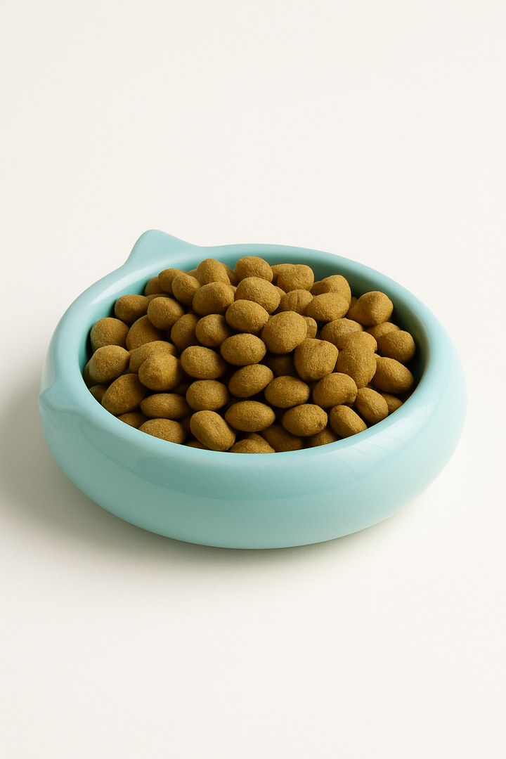 Pienso Seco para Gato — Pollo